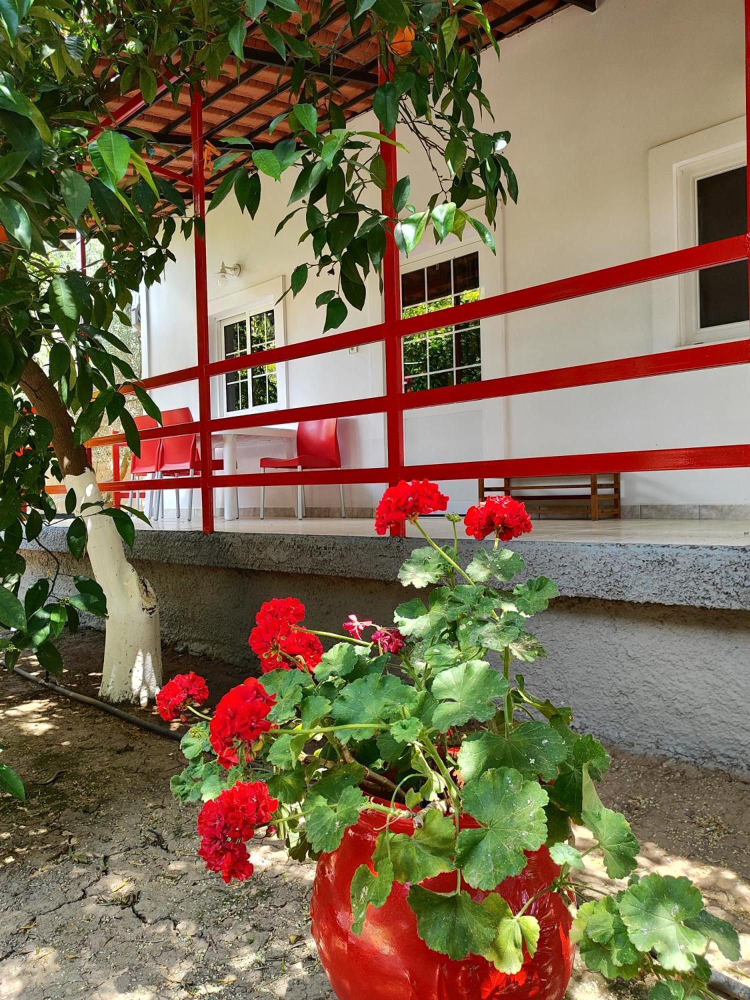 Cottonclub Villas Tolo Exterior photo