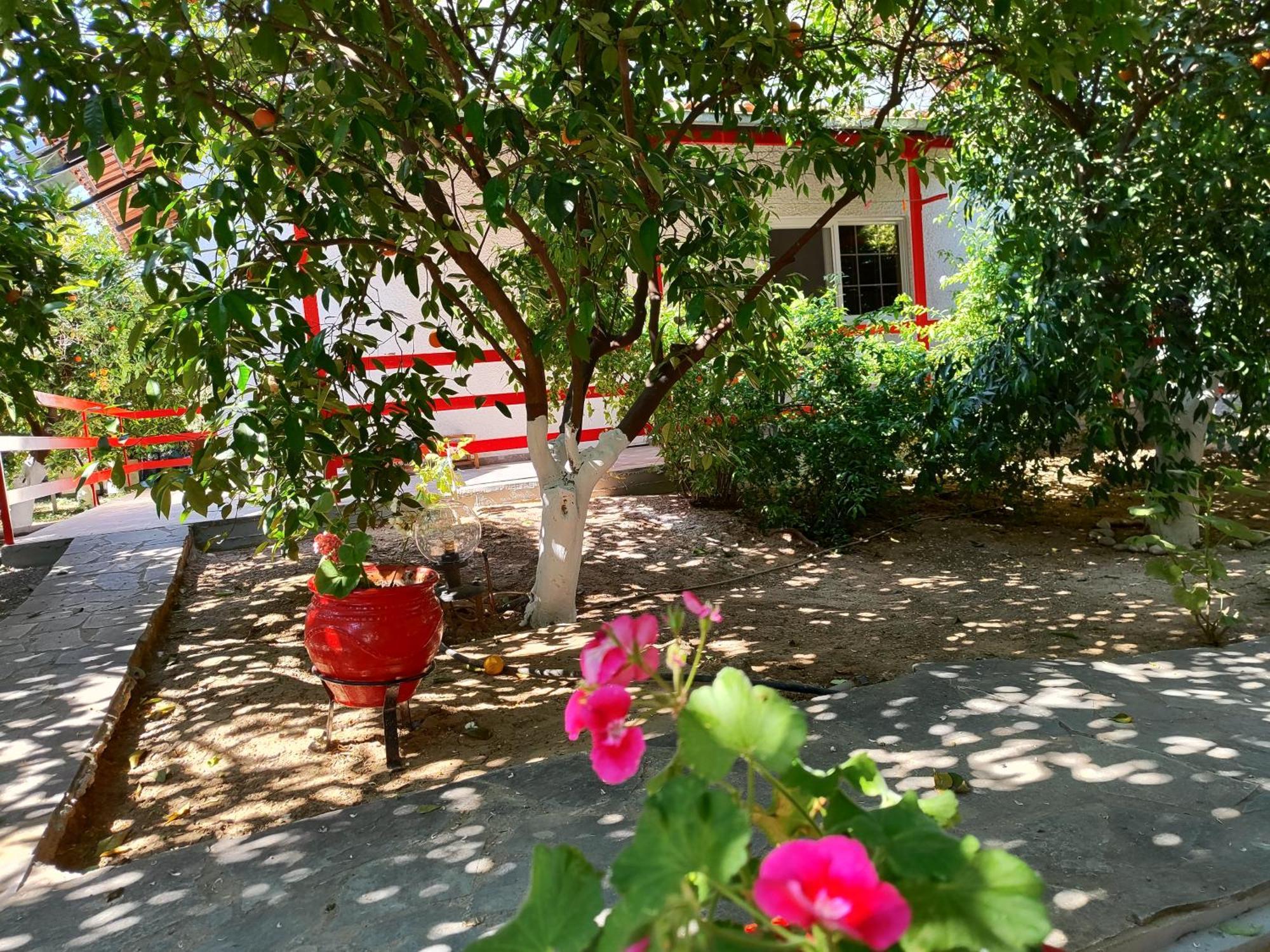 Cottonclub Villas Tolo Exterior photo