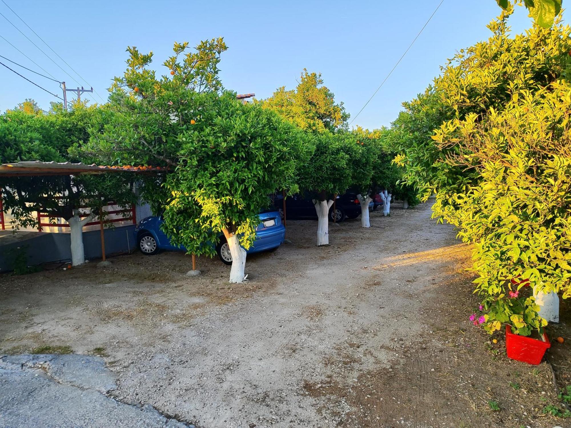 Cottonclub Villas Tolo Exterior photo