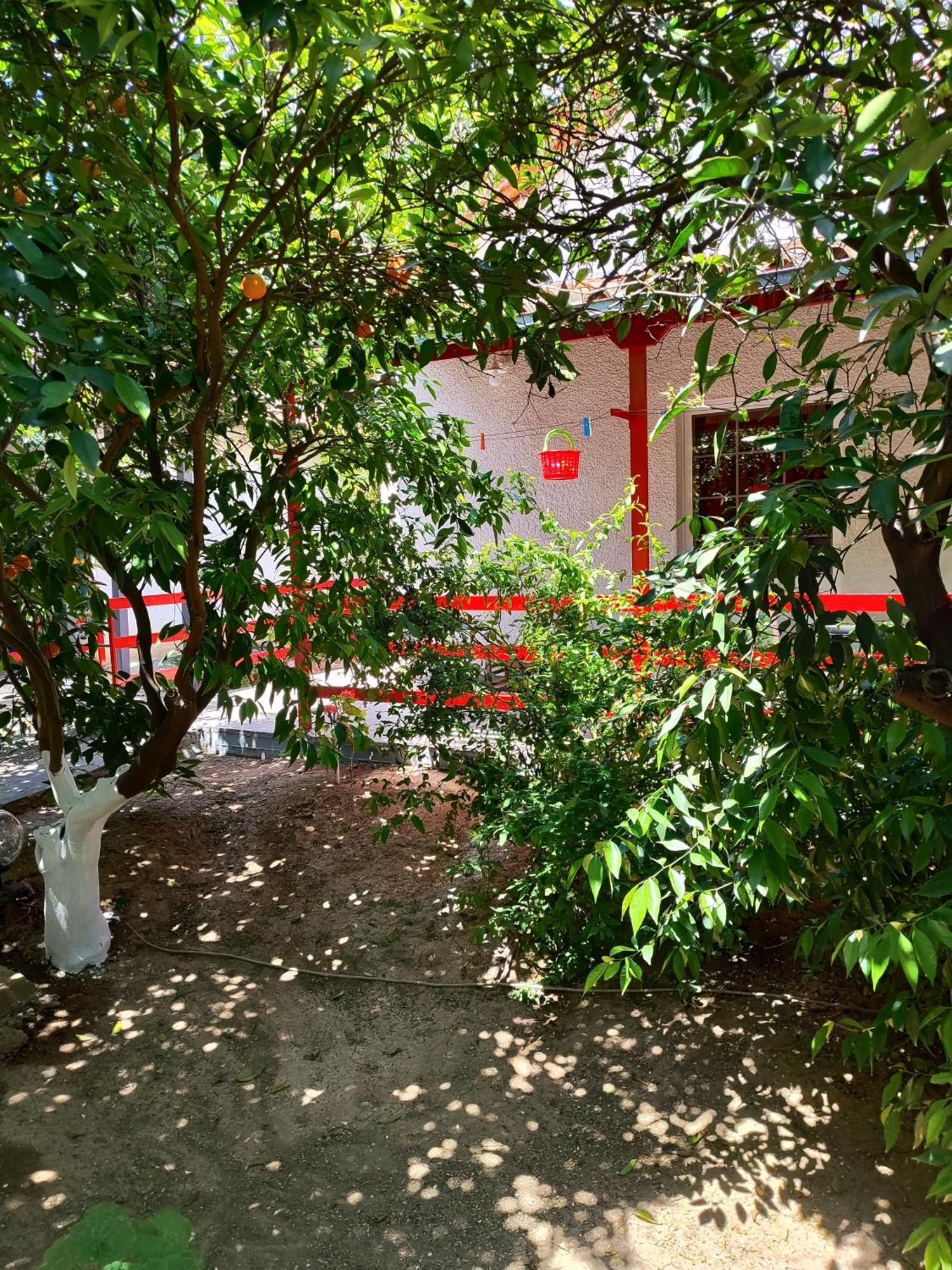 Cottonclub Villas Tolo Exterior photo